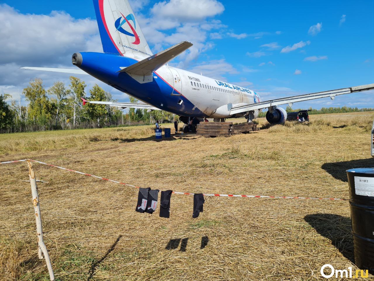 Омск сочи самолет время. Самолеты, с полем. Самолет в поле Омска. Самолет над Сочи. Самолёт Поль.