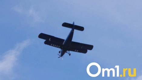 Названа дата, когда возобновятся полёты из Омска в Усть-Ишим
