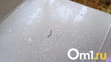 Проволока в лапше: жители Новосибирска пожаловались на некачественную доставку еды «Харакири»