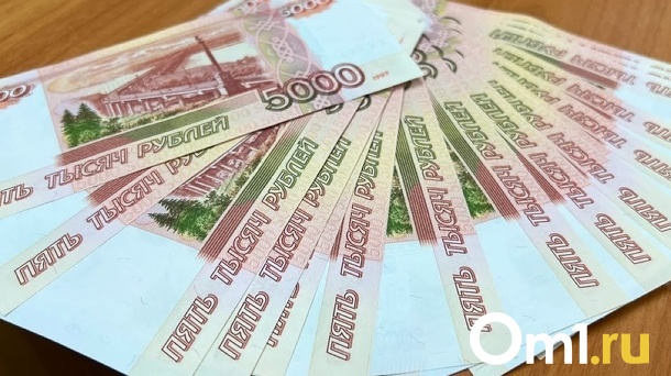 Для большого заработка омичам посоветовали работать на четырёх работах
