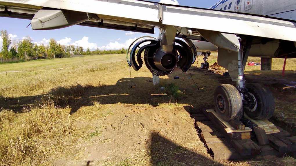 «Выставил бы Airbus на Авито»: в сети дают советы хозяину пшеничного поля под Новосибирском
