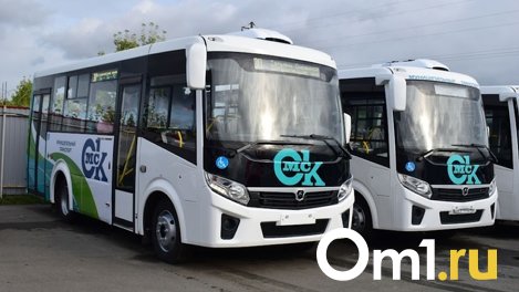 Омская область получит ещё 300 миллионов рублей на покупку общественного транспорта