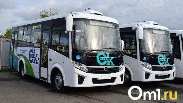 Омская область получит ещё 300 миллионов рублей на покупку общественного транспорта