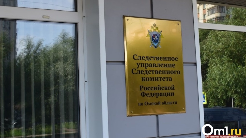 В Омске возбудили уголовное дело из-за нападения собак на женщину с детьми