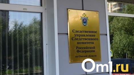 В Омске возбудили уголовное дело из-за нападения собак на женщину с детьми
