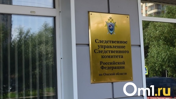 В Омске возбудили уголовное дело из-за нападения собак на женщину с детьми