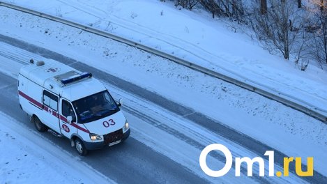 Под Омском на Черлакском тракте погибла женщина