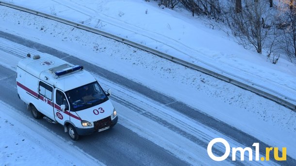 Под Омском на Черлакском тракте погибла женщина