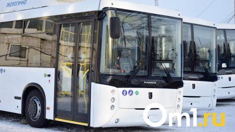 В Омске с 1 января заработали сразу три новых автобусных маршрута
