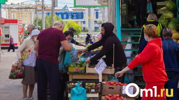 В Омске мигрантам планируют запретить работать в такси, торговле и медицине