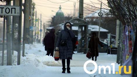 Новый год в Омске начнётся с морозов