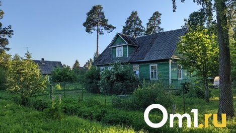 Как купить дачу в Омской области и не пожалеть о выборе? Пошаговая инструкция