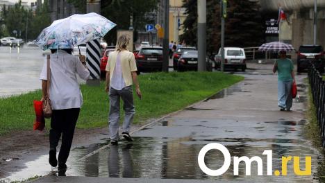 Штормовой ветер и осадки обещают синоптики в Омской области
