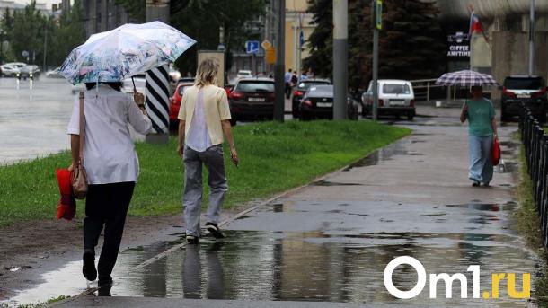 Штормовой ветер и осадки обещают синоптики в Омской области