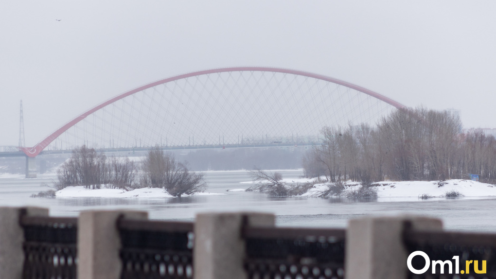 Завалит ли Новосибирск снегом? Синоптики сделали прогноз