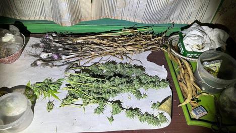 Омских дачников будут судить за продажу наркотиков