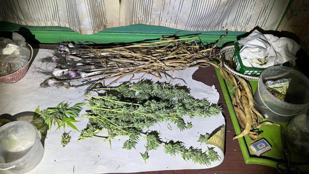 Омских дачников будут судить за продажу наркотиков