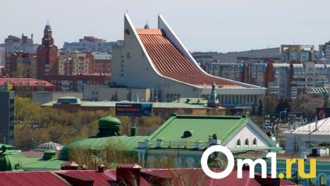 В Омске создадут 555 мозаичных птиц для украшения города