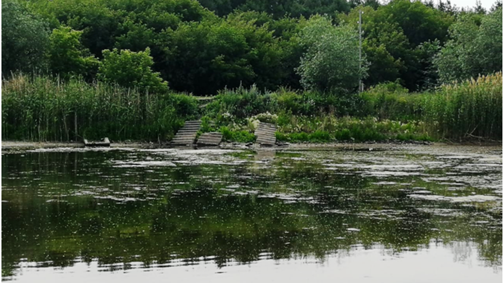 Минприроды Омской области считает высыхание озера в Парке Победы нормальным явлением