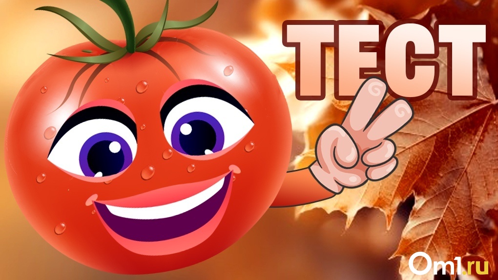 Весёлый помидор, милая тыква или ранимая капуста? Пройди тест и узнай, какой ты овощ