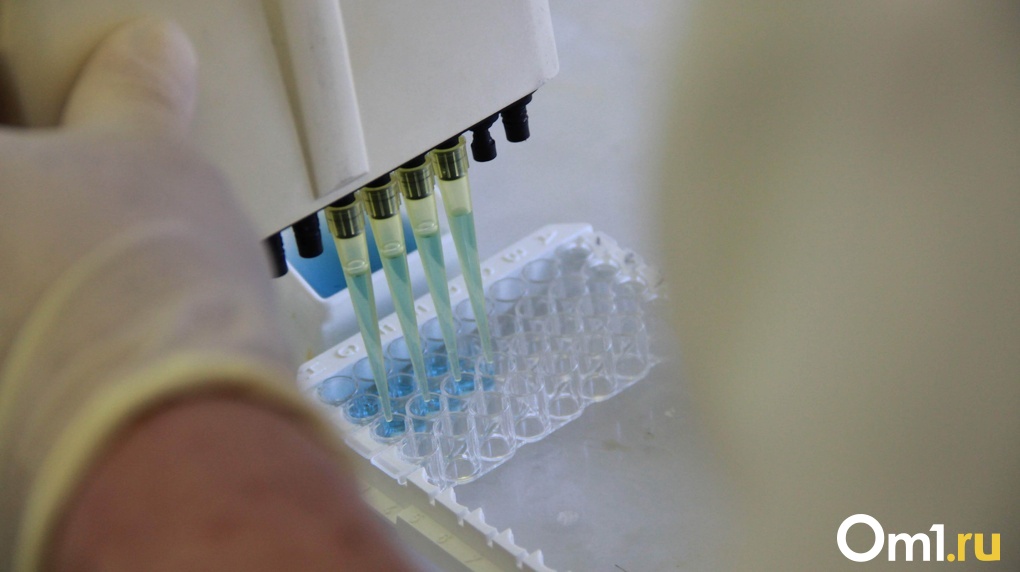Новосибирские учёные оценили влияние коронавируса на научную отрасль