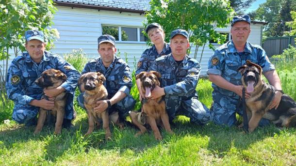 Семерых омских щенков научат выслеживать, задерживать и конвоировать