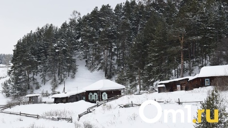Массово избавляются от скота и птицы. Почему жители Омской области больше не хотят держать личное подворье?