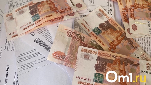 В Омске три ломбарда и одна микрокредитная организация работали незаконно