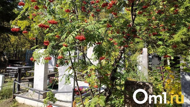 В районе Надеждино хотят разместить новое омское кладбище