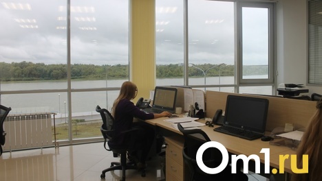 Обманывают руководство. Стало известно, почему омичи прогуливают работу