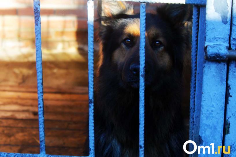 Изображение фоторепортажа