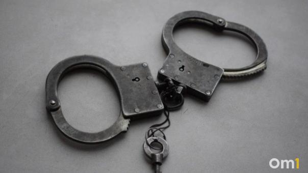 Омскому водителю, сбившему женщину на переходе, усилили наказание
