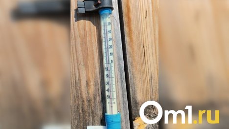 Жара до +53 в селах Омской области