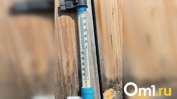 Жара до +53 в селах Омской области