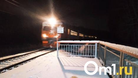 Омича, убившего собаку на глазах машинистов, приговорили к общественным работам