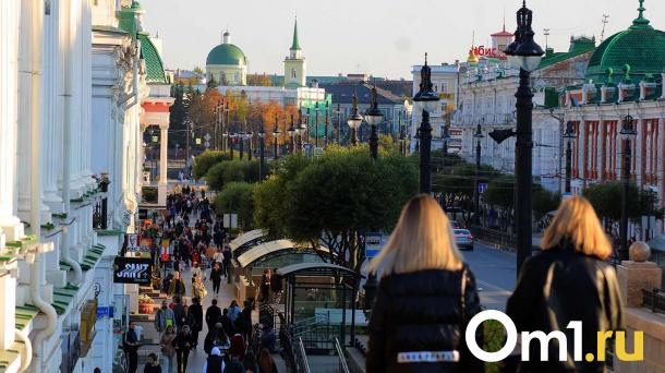 В Омске обсуждают возможность сделать Любинский проспект пешеходным