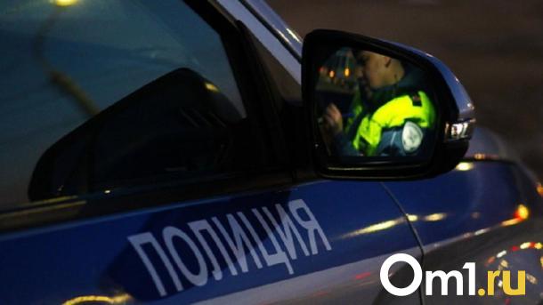 В Омской области пьяный мотоциклист сбил прохожего