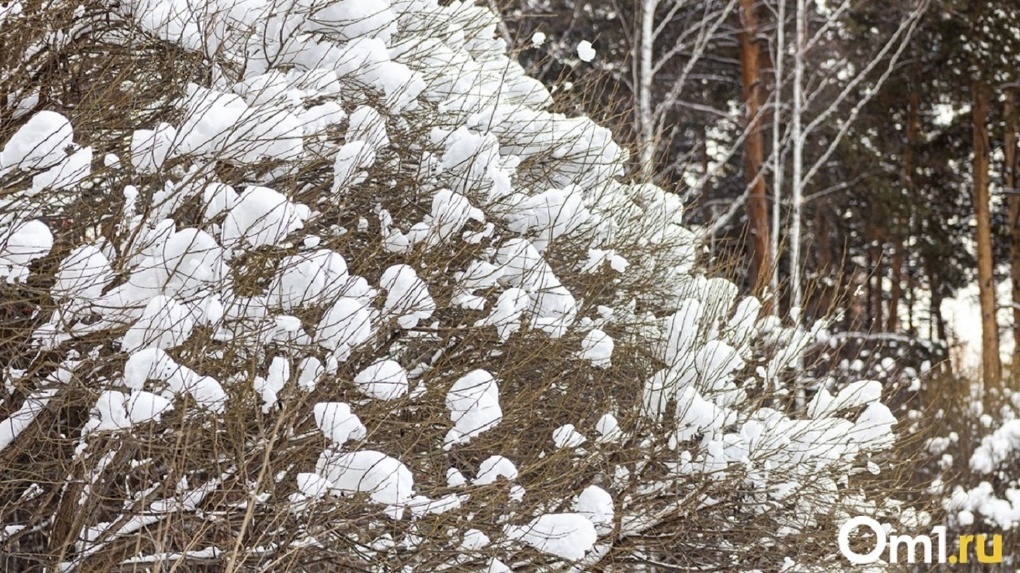 Штормовой ветер и снег с дождём: синоптики предрекли ненастье в Омске