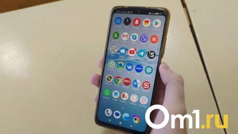 Омичка потеряла более пяти миллионов рублей из-за проблем с сим-картой