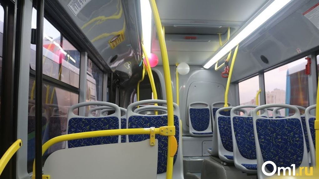 Омский водитель автобуса заплатит штраф за сотрясение мозга у пассажирки