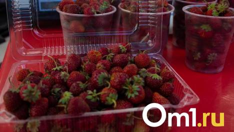 Сезон открыт: где в Омске собрать клубнику и жимолость, и сколько это будет стоить?