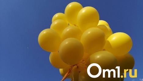 В Омске откроются пришкольные лагеря: отдохнуть смогут более 10 тысяч детей