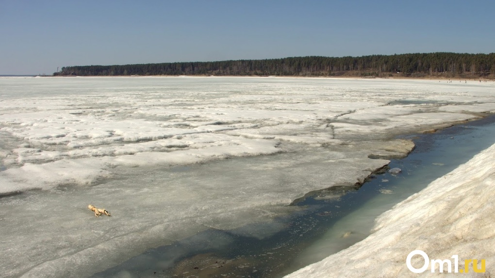 Омича, который провалился под лёд на Иртыше, выписали из больницы