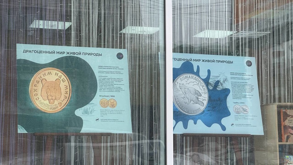 Речной бобр и голубой песец: омичи могут увидеть редкие монеты с изображением животных