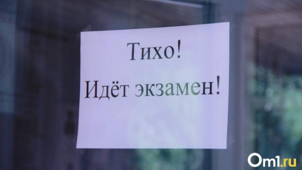 Минобр Новосибирской области озвучил правила сдачи ЕГЭ в новых условиях (обновляется)