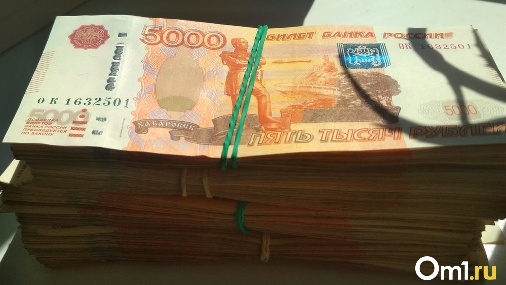 Новую выплату до 10 тысяч рублей новосибирцы получат в апреле — кому положены деньги