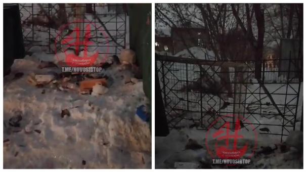 Царство крыс попало на видео в Ленинском районе Новосибирска