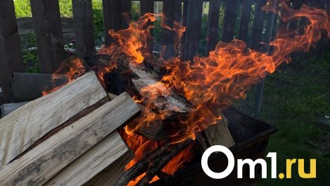 Омская область оказалась самым «горящим» регионом России в апреле