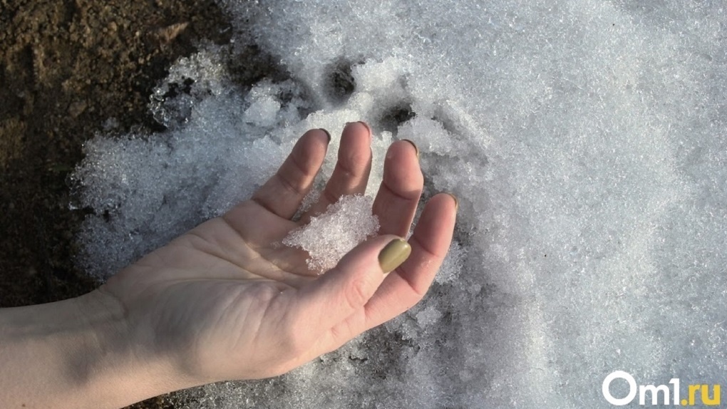 «Притворилась мёртвой и оказалась в кустах»: новосибирец жестоко избил знакомую и закопал в снегу