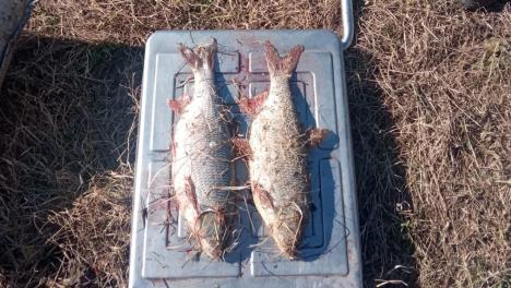 Омичам грозят штрафы до полумиллиона за рыбалку